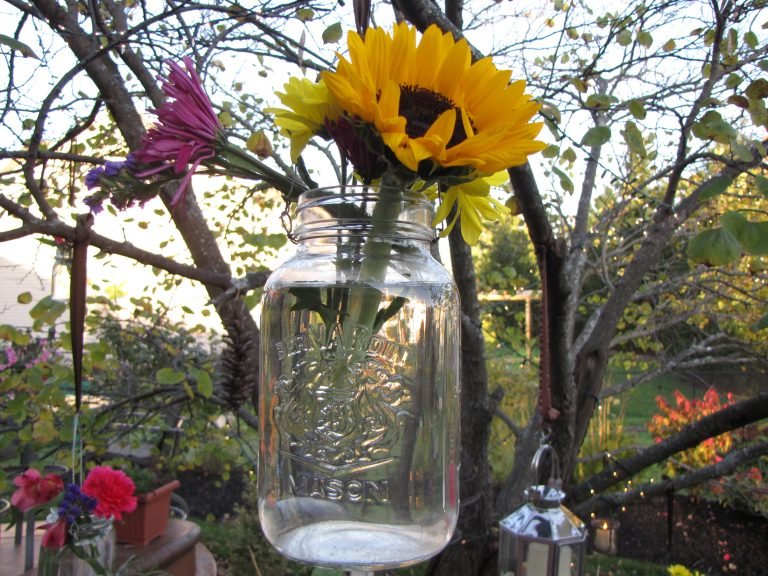 Flowers in a Jar